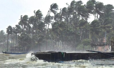 SamacharToday.co.in - चक्रवात 'दितवाह' से दक्षिणी तटों पर रेड अलर्ट, भारी बारिश - Image Credited by News18