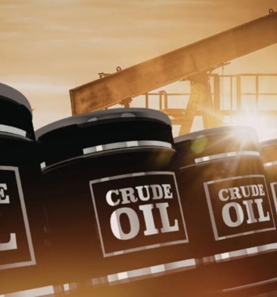 SamacharToday.co.in - कच्चे तेल का झटका शेयर बाजार में डूबे ₹12 लाख करोड़ - Image Credited by NDTV