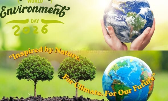 विश्व पर्यावरण दिवस 2026 क्या हम प्रकृति से बहुत दूर जा चुके हैं - SamacharToday.co.in