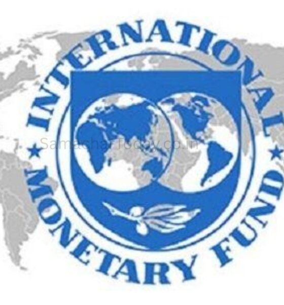 IMF ने सिल्वाना टेनरेयो को मुख्य अर्थशास्त्री और शोध प्रमुख नियुक्त किया - SamacharToday.co.in
