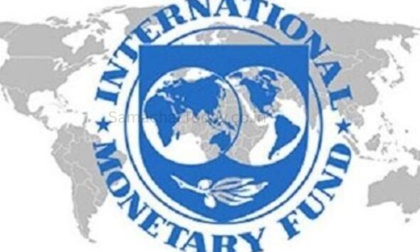 IMF ने सिल्वाना टेनरेयो को मुख्य अर्थशास्त्री और शोध प्रमुख नियुक्त किया - SamacharToday.co.in